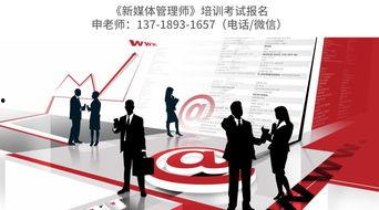 爆料网红领巾最新版介绍,时尚潮流与实用功能的完美结合