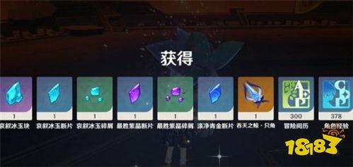 原神最新官方爆料消息,神秘角色登场，探索未知领域！